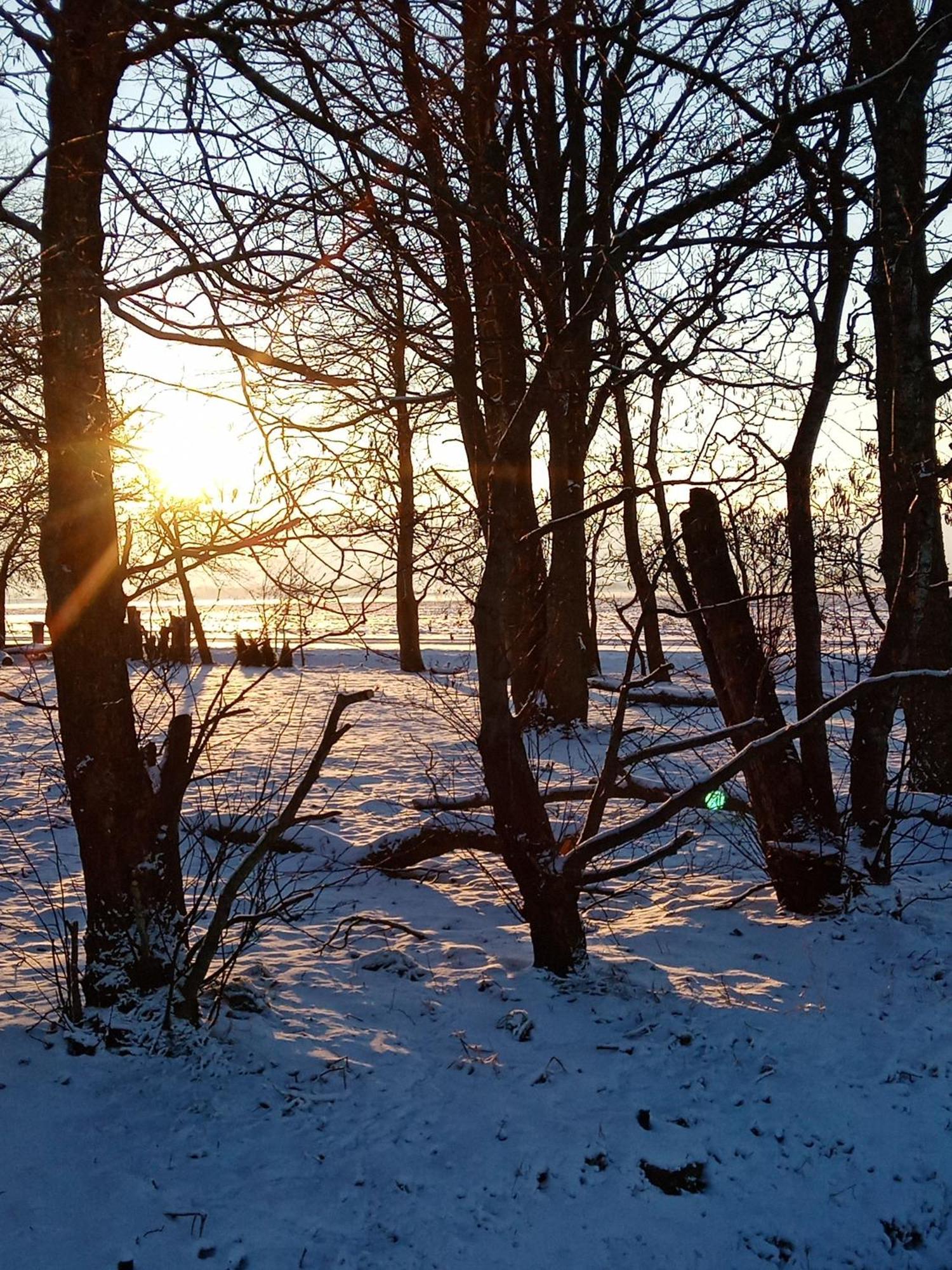 Apartament Eider Karolinenkoog Zewnętrze zdjęcie